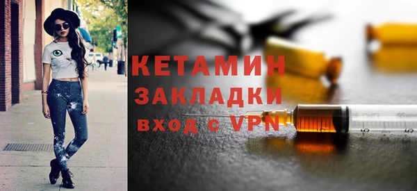 гидра Дмитров