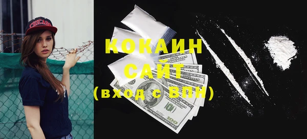 гидра Дмитров