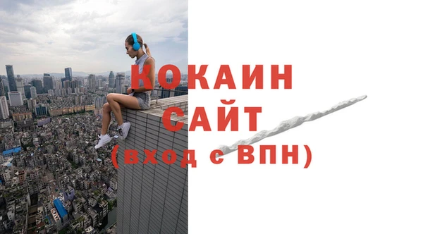 apvp Санкт-Петербург