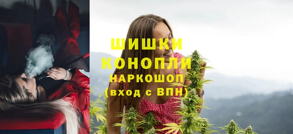 эйфоретик Елизово