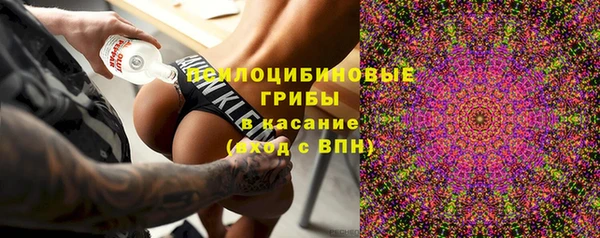 экстази Ельня
