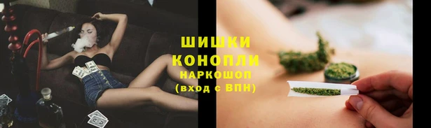 гидра Дмитров