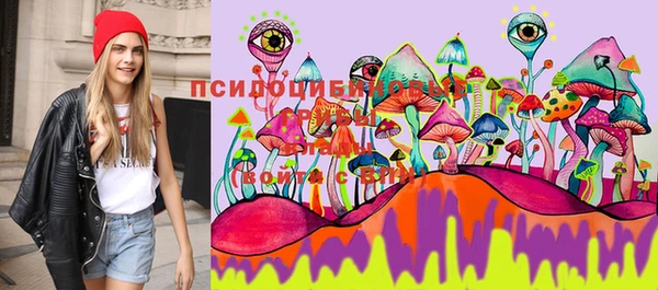твердый Елабуга