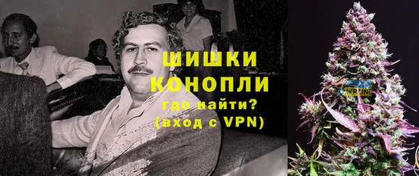 гидра Дмитров
