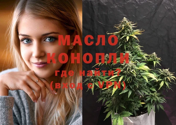 гидра Дмитров