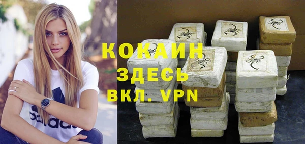 гидра Дмитров