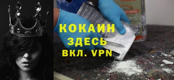индика Ессентукская