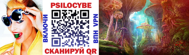 Галлюциногенные грибы MAGIC MUSHROOMS  Купить  Заполярный 